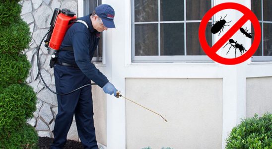 Doğubayazıt Bit İlaçlama böcek ilaçlama ve haşere kontrolü — ilaclama-tr.com